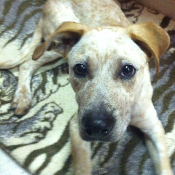 Meet your Posher, Susan - Picture 1 of 2